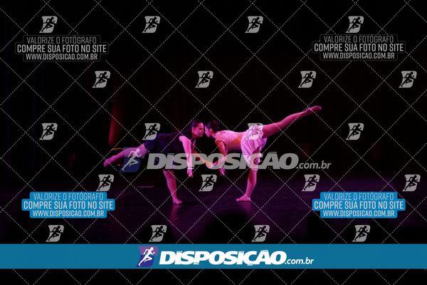 Foto 7531491