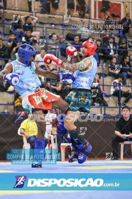Foto 7544830