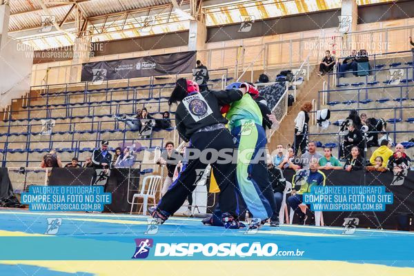 Foto 7583052