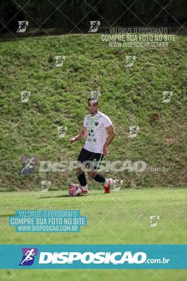 Foto 7538037