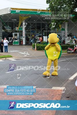 Foto 7652498