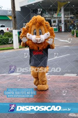 Foto 7652468