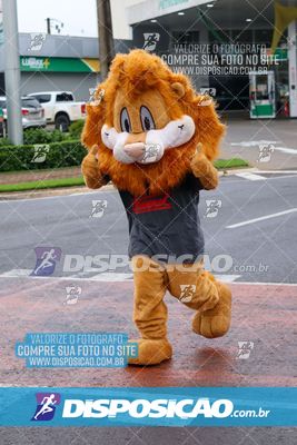 Foto 7652511