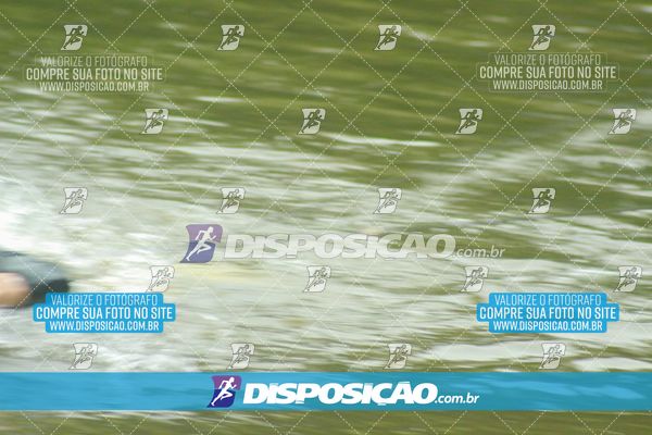 Foto 7611270