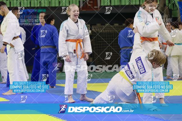Foto 7834477