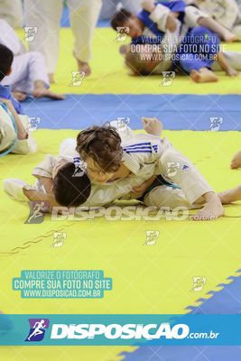 Foto 7837685