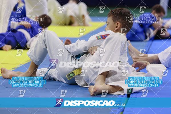 Foto 7837728