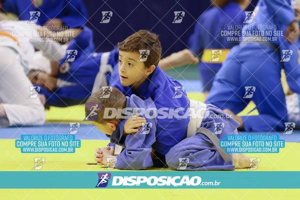 Foto 7837531