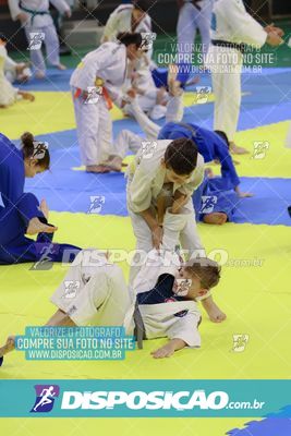 Foto 7838159