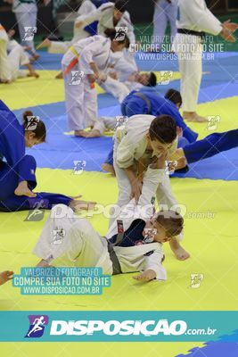 Foto 7838158