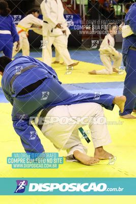 Foto 7839265