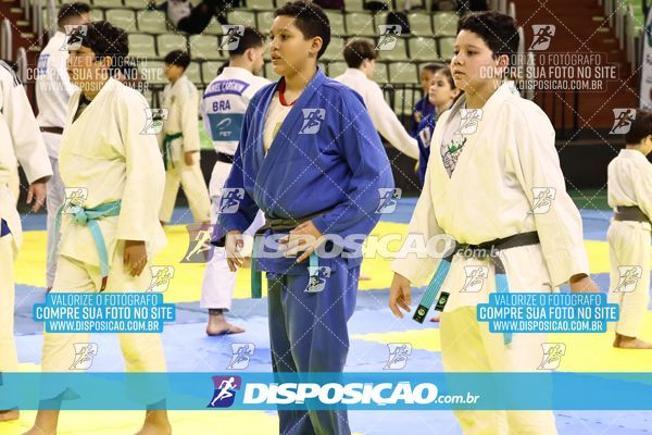 Foto 7839283