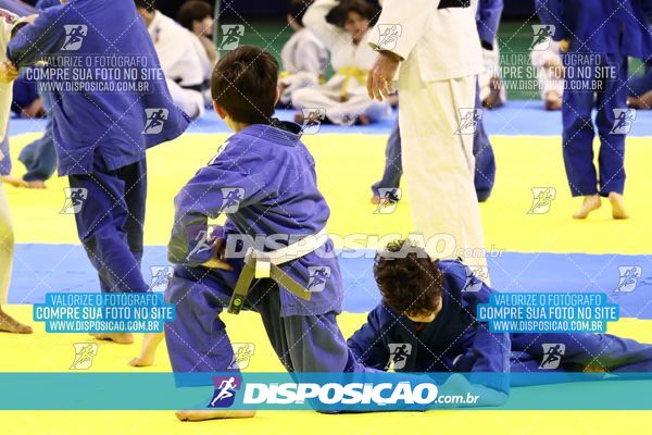 Foto 7839293