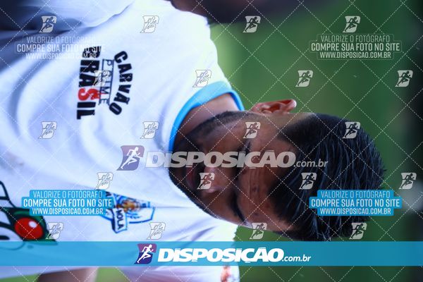 Foto 7847185