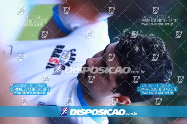 Foto 7847195