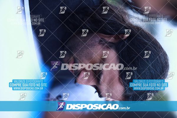 Foto 7847198