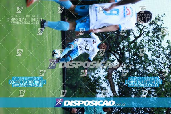 Foto 7847265