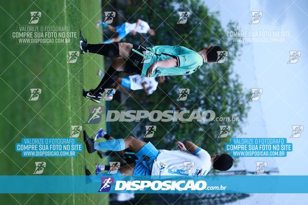 Foto 7847277