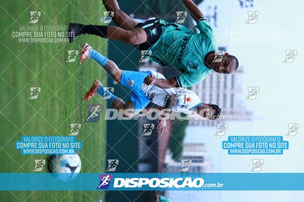 Foto 7847293