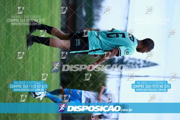 Foto 7847319