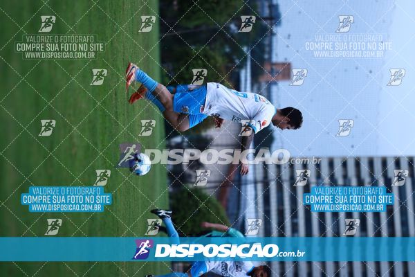 Foto 7847349