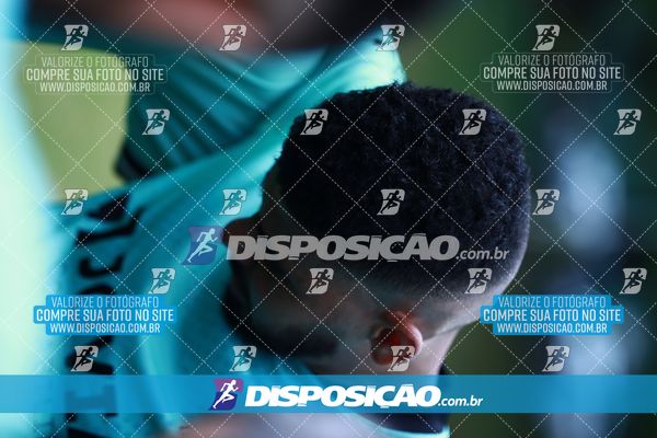 Foto 7847495