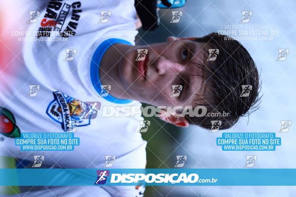 Foto 7847505