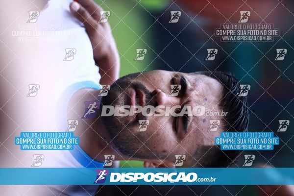 Foto 7847517