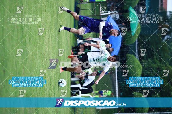 Foto 7847834