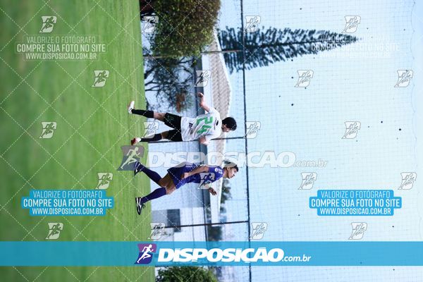Foto 7847908