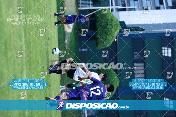 Foto 7847982