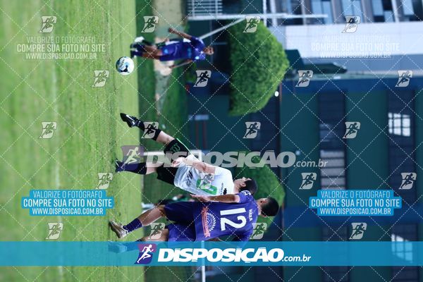Foto 7847979