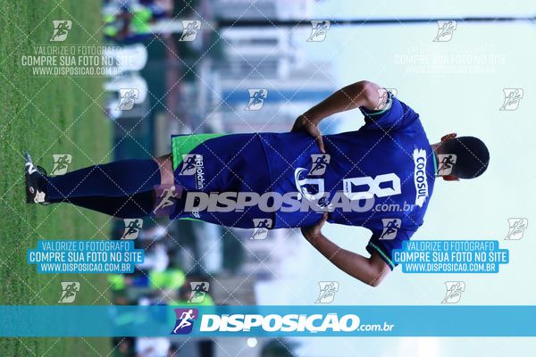 Foto 7848021