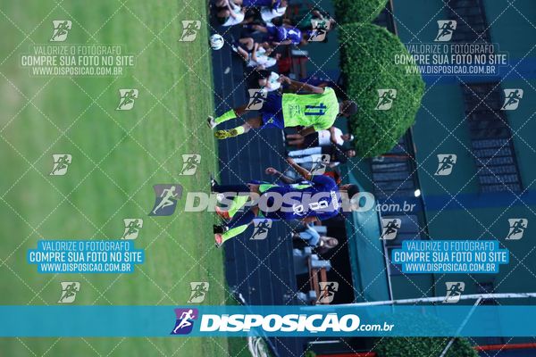 Foto 7848025