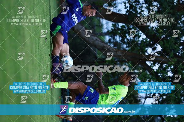 Foto 7848093