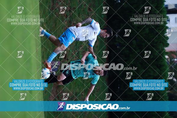 Foto 7848152