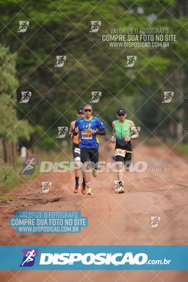 Foto 7848858