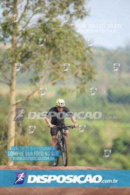 Foto 7849025