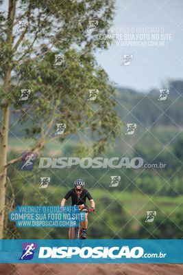 Foto 7849119