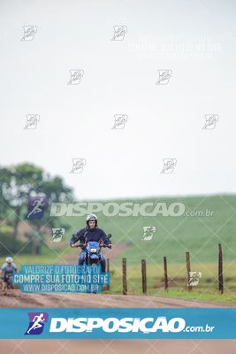 Foto 7849186