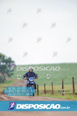 Foto 7849191