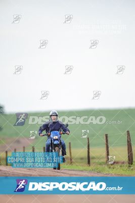 Foto 7849189