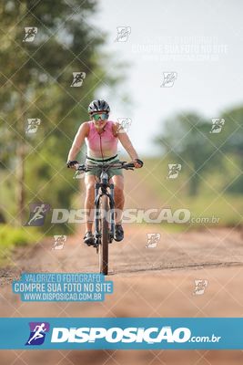 Foto 7849221