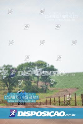Foto 7849224