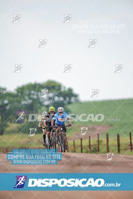 Foto 7849229