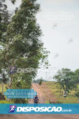 Foto 7849294