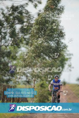 Foto 7849290