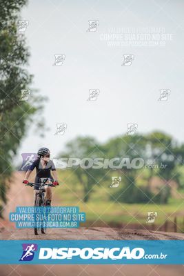 Foto 7849305