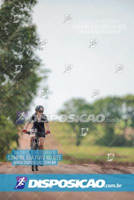 Foto 7849304