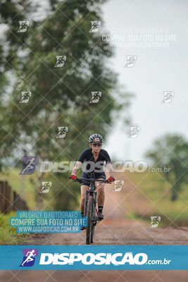 Foto 7849306